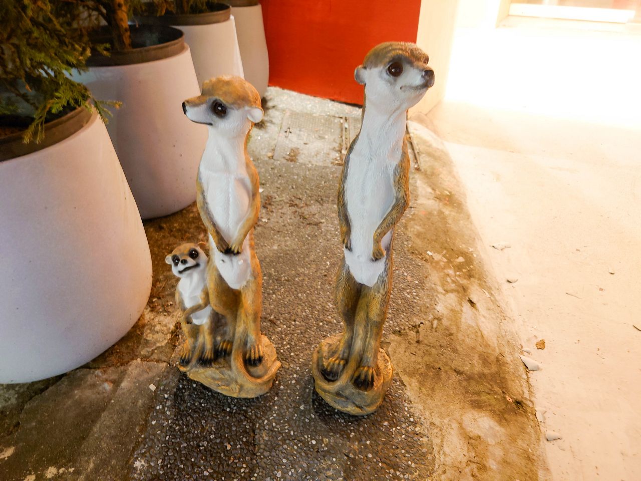 [食記][台北市] Oh My Zoo Cafe — 台北東區巷弄內新開抹茶館兼寵物咖啡廳