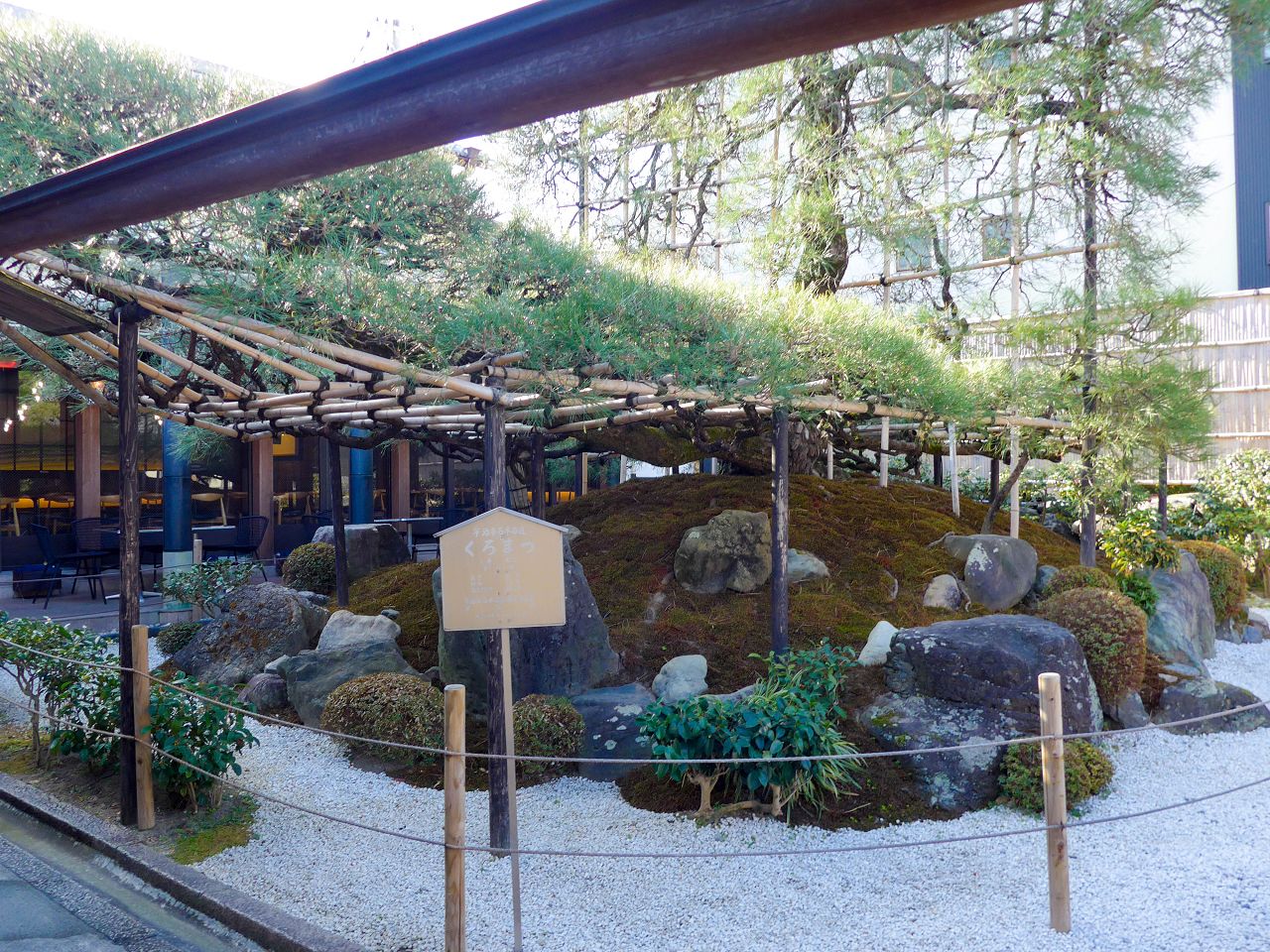 [食記][日本][京都][宇治] 中村藤吉本店 — 宇治在地知名抹茶品牌，精緻美味的竹筒抹茶帕菲。