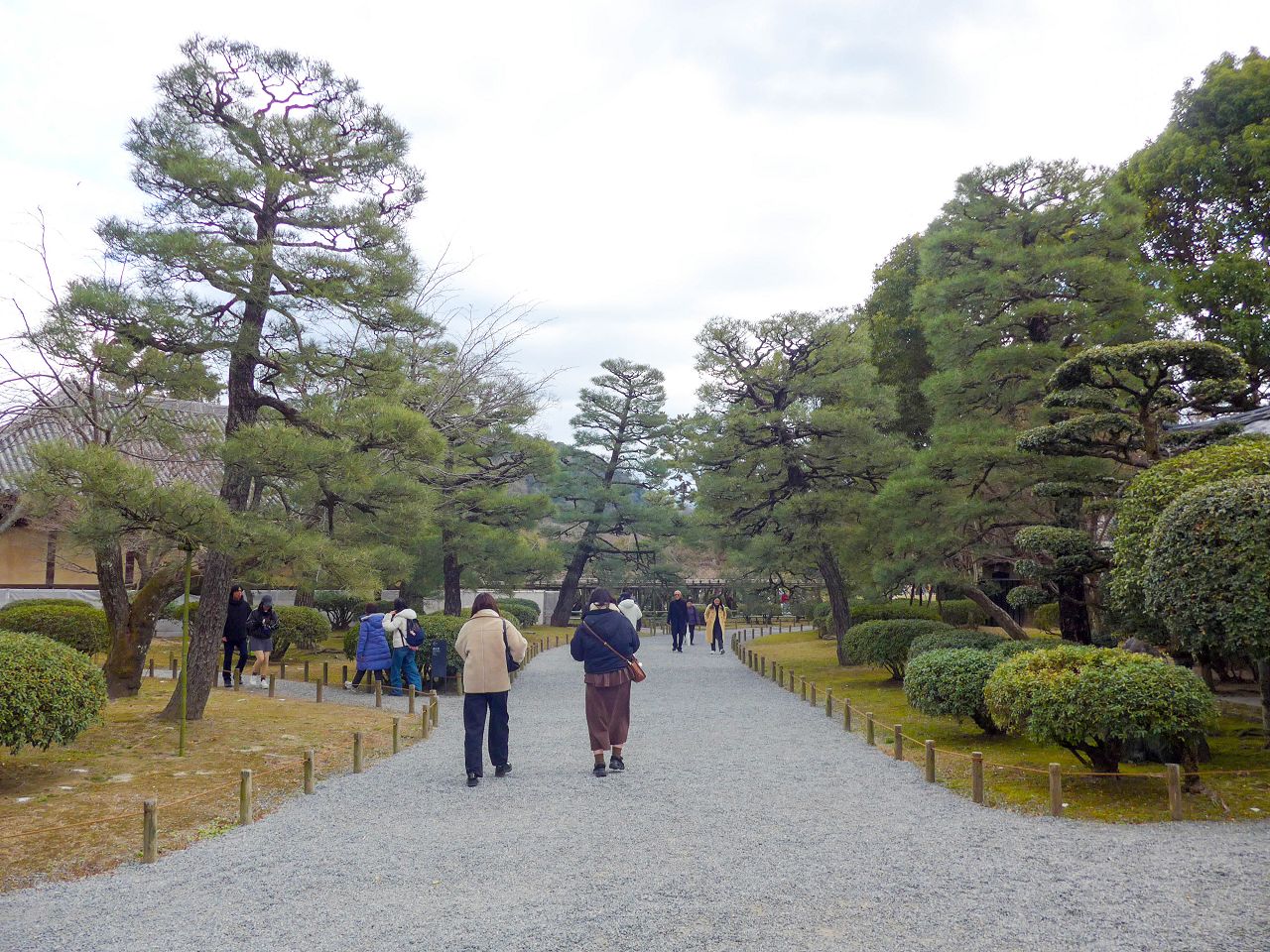 [遊記] 2026日本關西旅遊 Day4 — 宇治 中村藤吉本店、平等院 + 京都 伏見稻荷大社