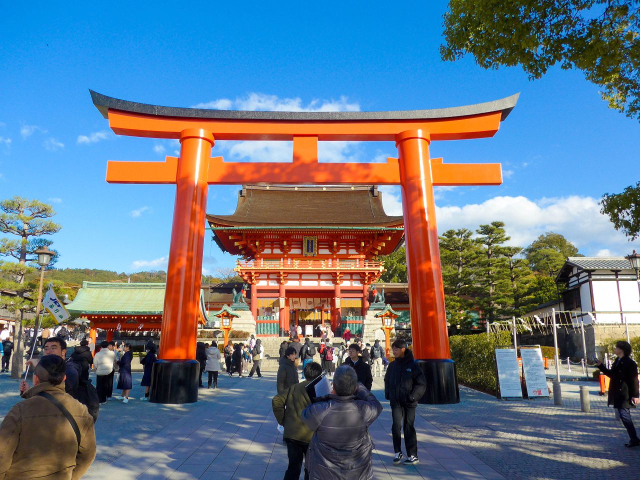 [遊記] 2026日本關西旅遊 Day4 — 宇治 中村藤吉本店、平等院 + 京都 伏見稻荷大社
