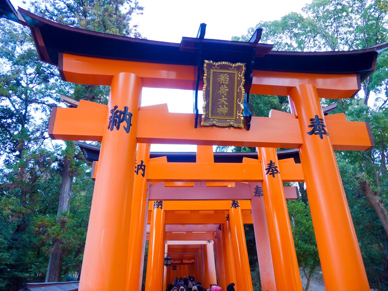 [遊記] 2026日本關西旅遊 Day4 — 宇治 中村藤吉本店、平等院 + 京都 伏見稻荷大社