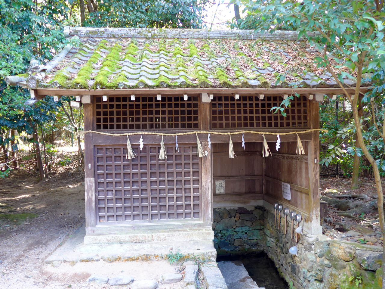 [遊記] 2026日本關西旅遊 Day5 — 宇治獨旅之行 宇治橋、宇治上神社、福壽園石臼研磨抹茶體驗