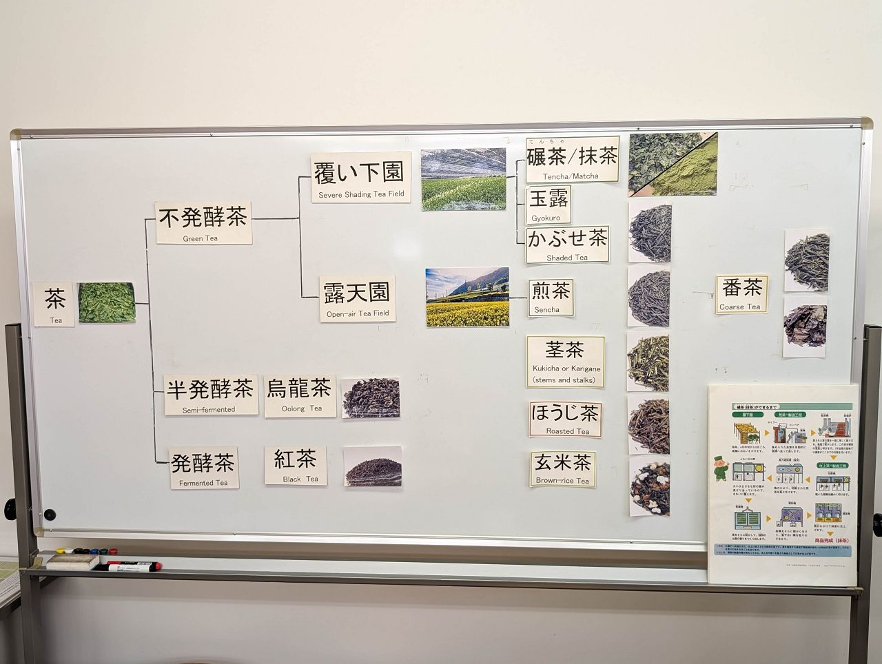 [遊記] 2026日本關西旅遊 Day5 — 宇治獨旅之行 宇治橋、宇治上神社、福壽園石臼研磨抹茶體驗