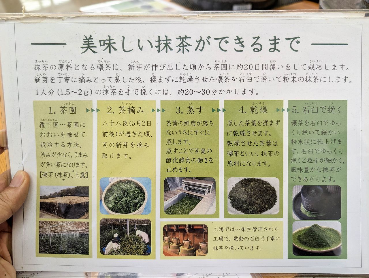 [遊記] 2026日本關西旅遊 Day5 — 宇治獨旅之行 宇治橋、宇治上神社、福壽園石臼研磨抹茶體驗