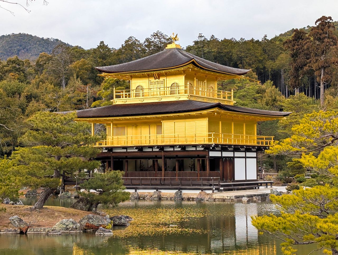 [遊記] 2026日本關西旅遊 Day6 — 京都 京都御苑、金閣寺 + 大阪 難波