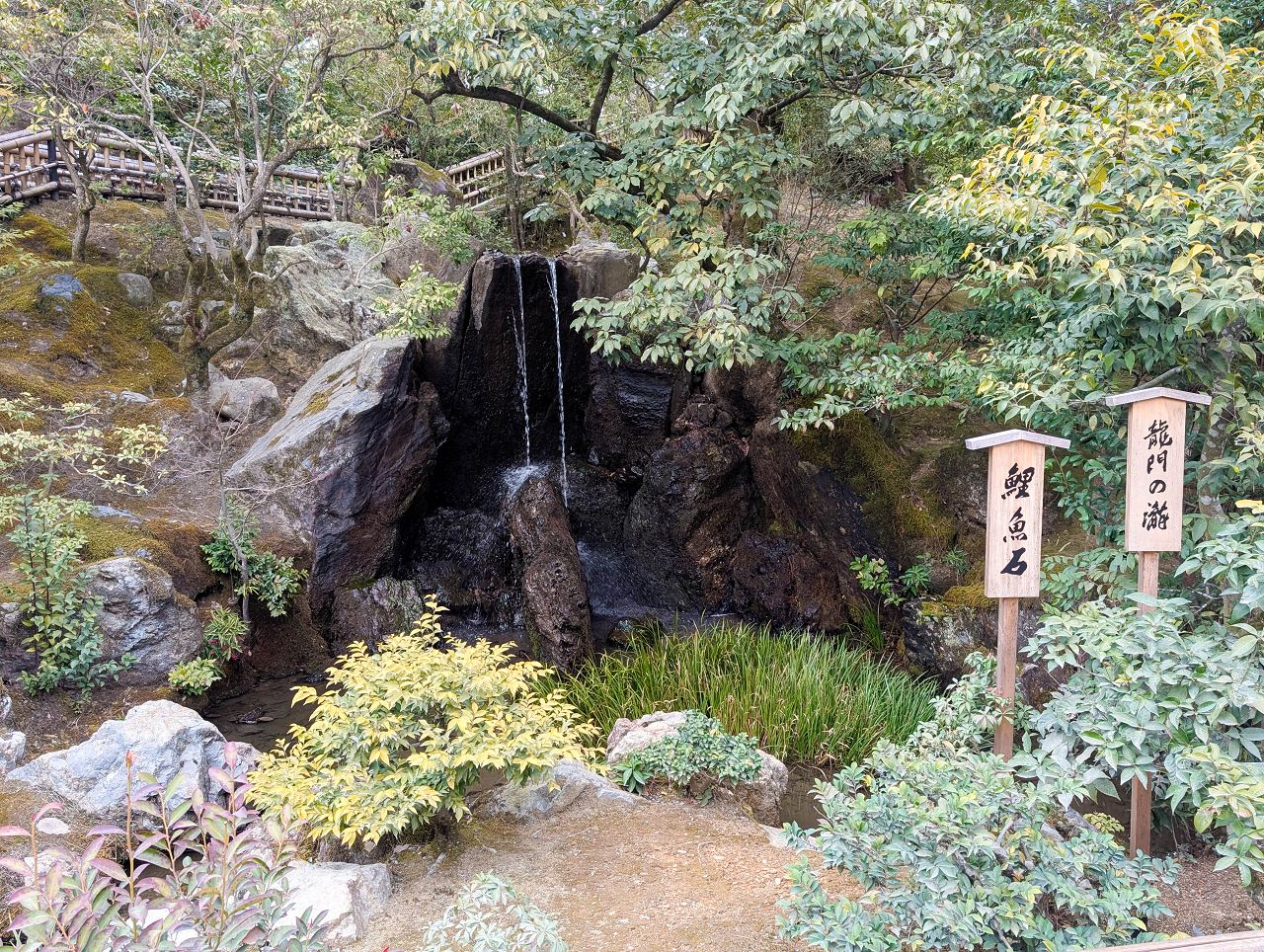 [遊記] 2026日本關西旅遊 Day6 — 京都 京都御苑、金閣寺 + 大阪 難波